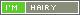 web badge