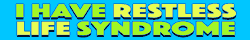 bumper sticker