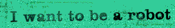 bumper sticker